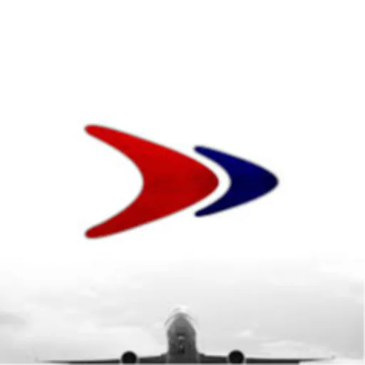 Dana Air